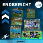 Endbericht Faustball 2024